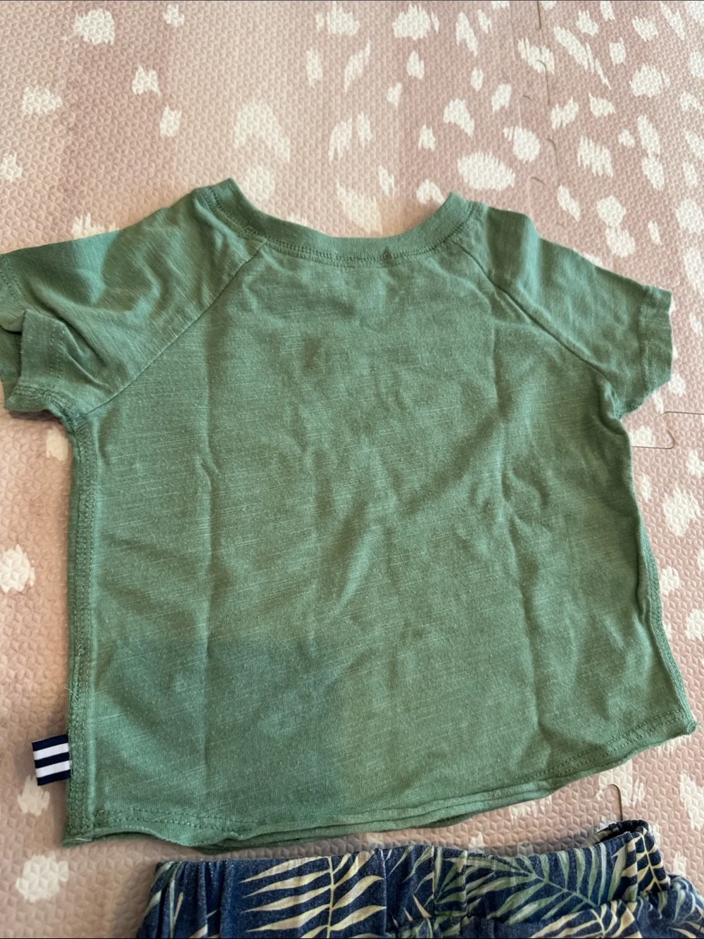 Splendid Boys Tropical Palm Print Shorts & Green Tee Set 18-24M